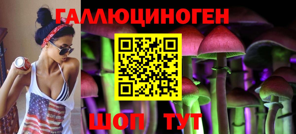 Дедовск  Галлюциногенные грибы MAGIC MUSHROOMS  Вход с VPN 